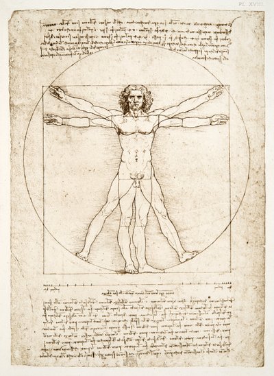 The Proportions of the Human Figure (after Vitruvius) by Leonardo da Vinci
